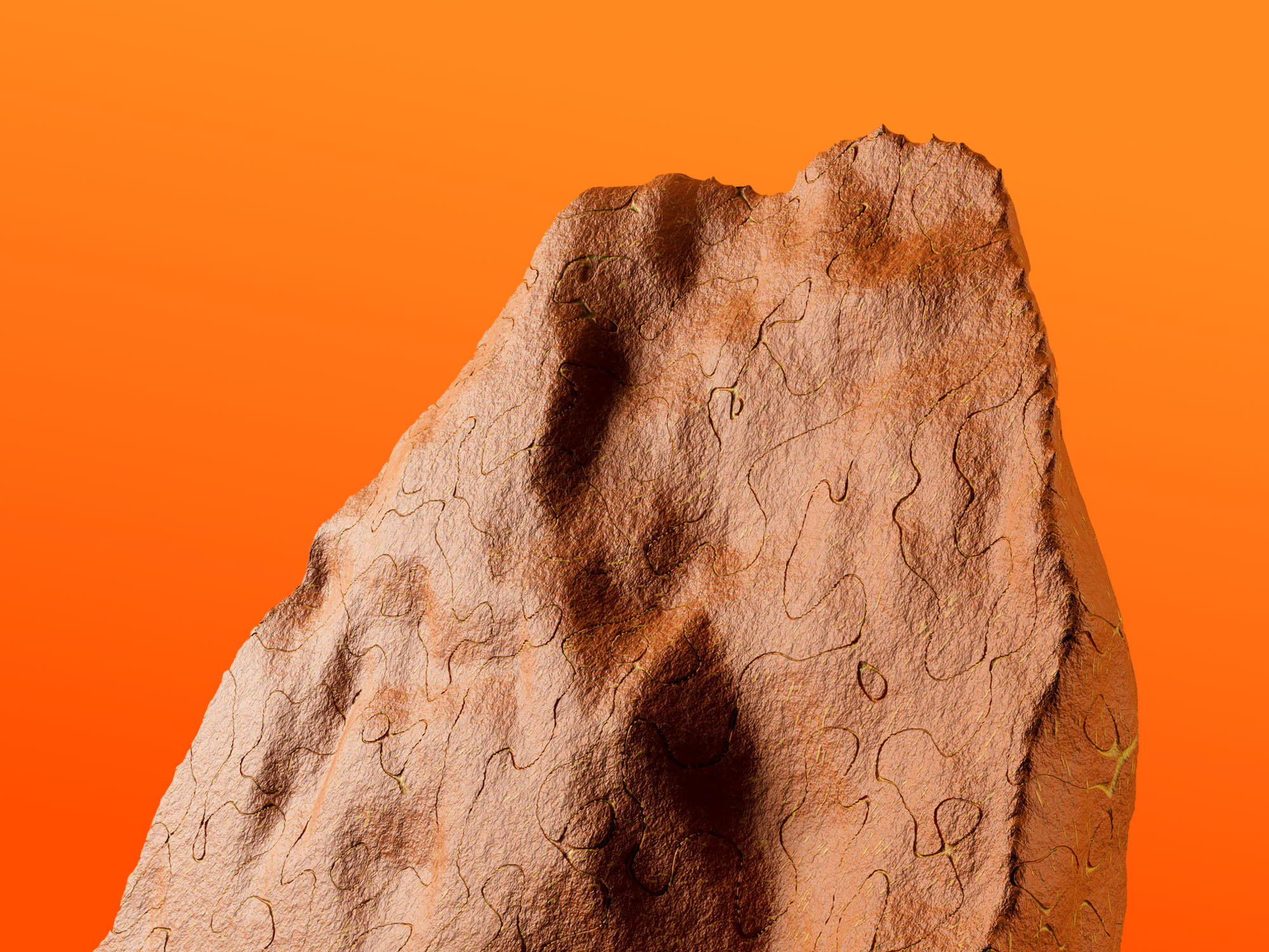 首頁 yordan stoyanov iky3rqo3sbx4 unsplash (1)